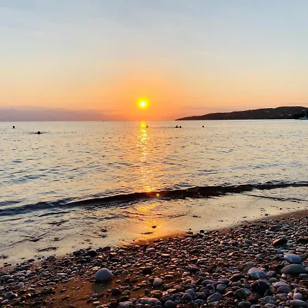 Roxanne's Olive Grove House Σπίτι διακοπών