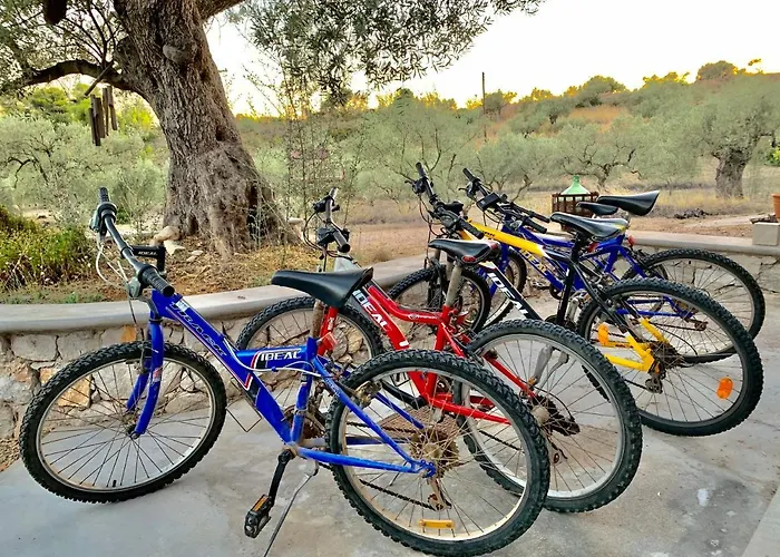 Vakantiehuis Roxanne's Olive Grove House Kranídion