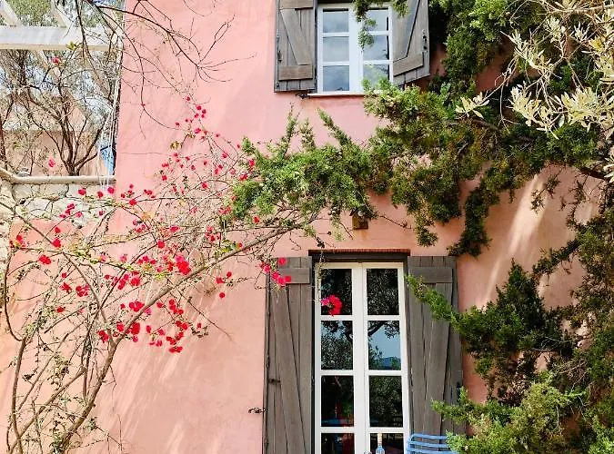 Vakantiehuis Roxanne's Olive Grove House