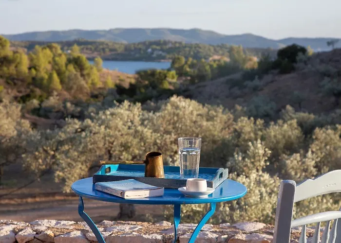 Roxanne's Olive Grove House